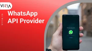 Whatsapp API Provider in India | Viria