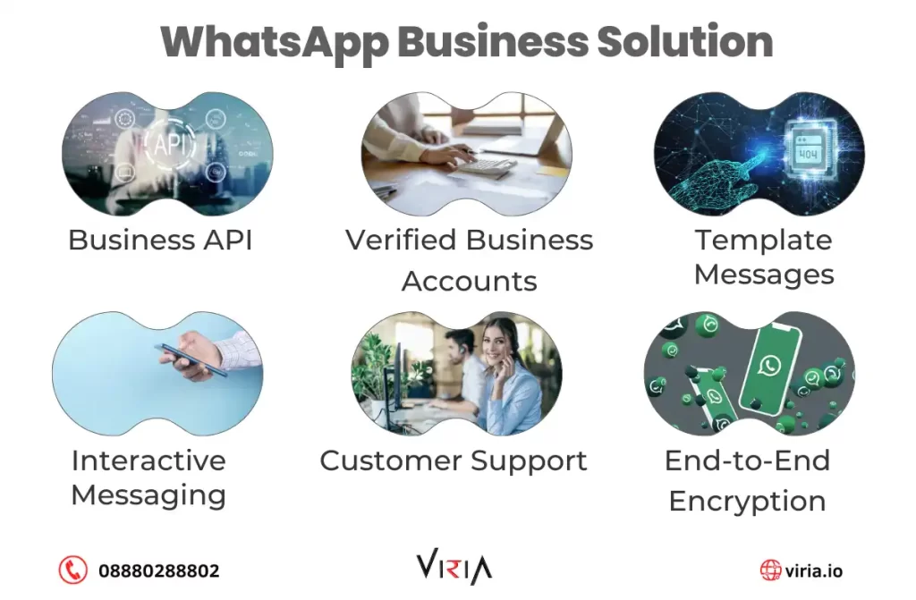 WhatsApp Business Solution